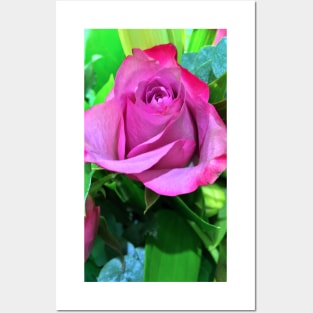 Single Pink Rose Floral Display - Autumn Bouquet - Flowers Posters and Art